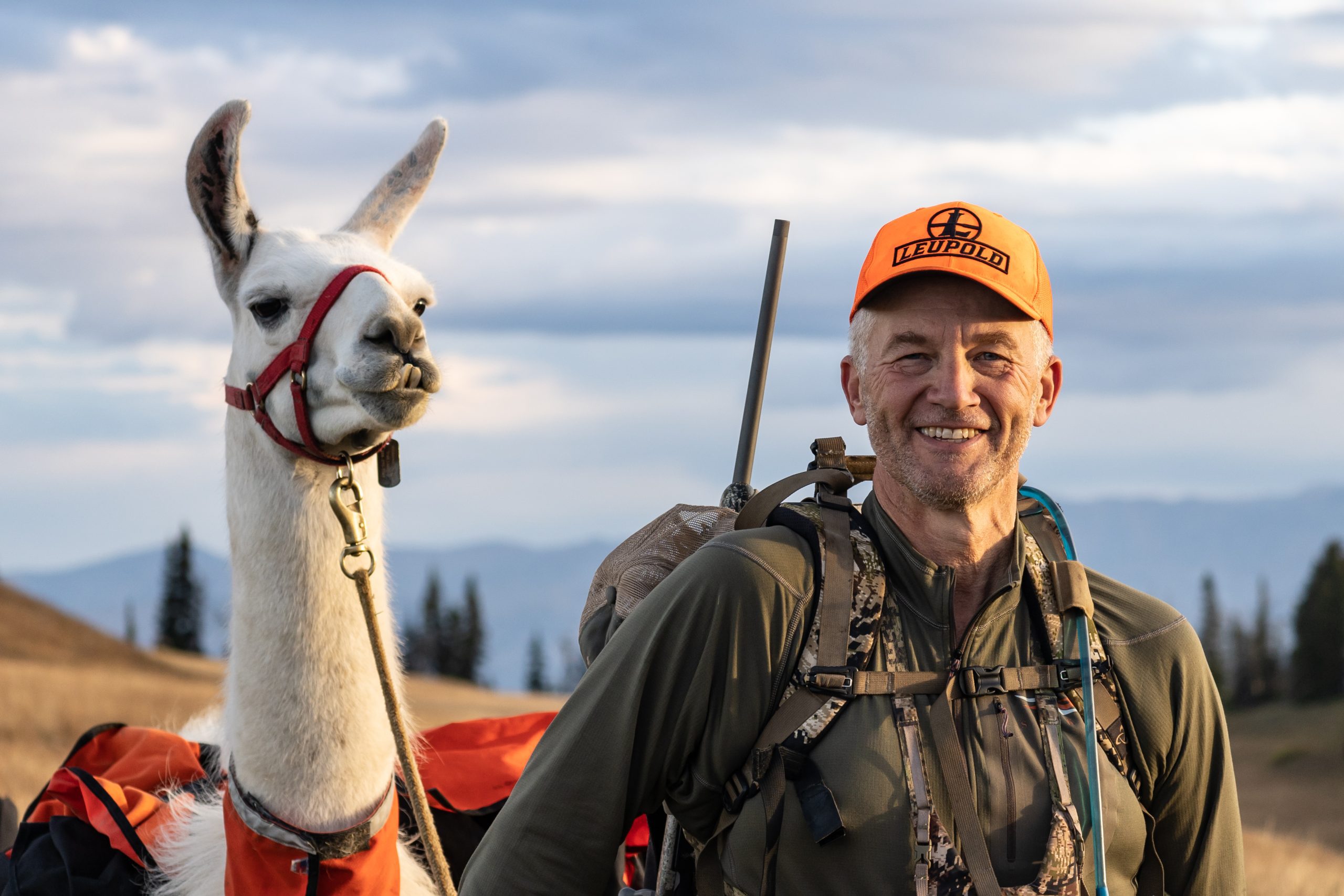 hunting with llamas, randy newberg
