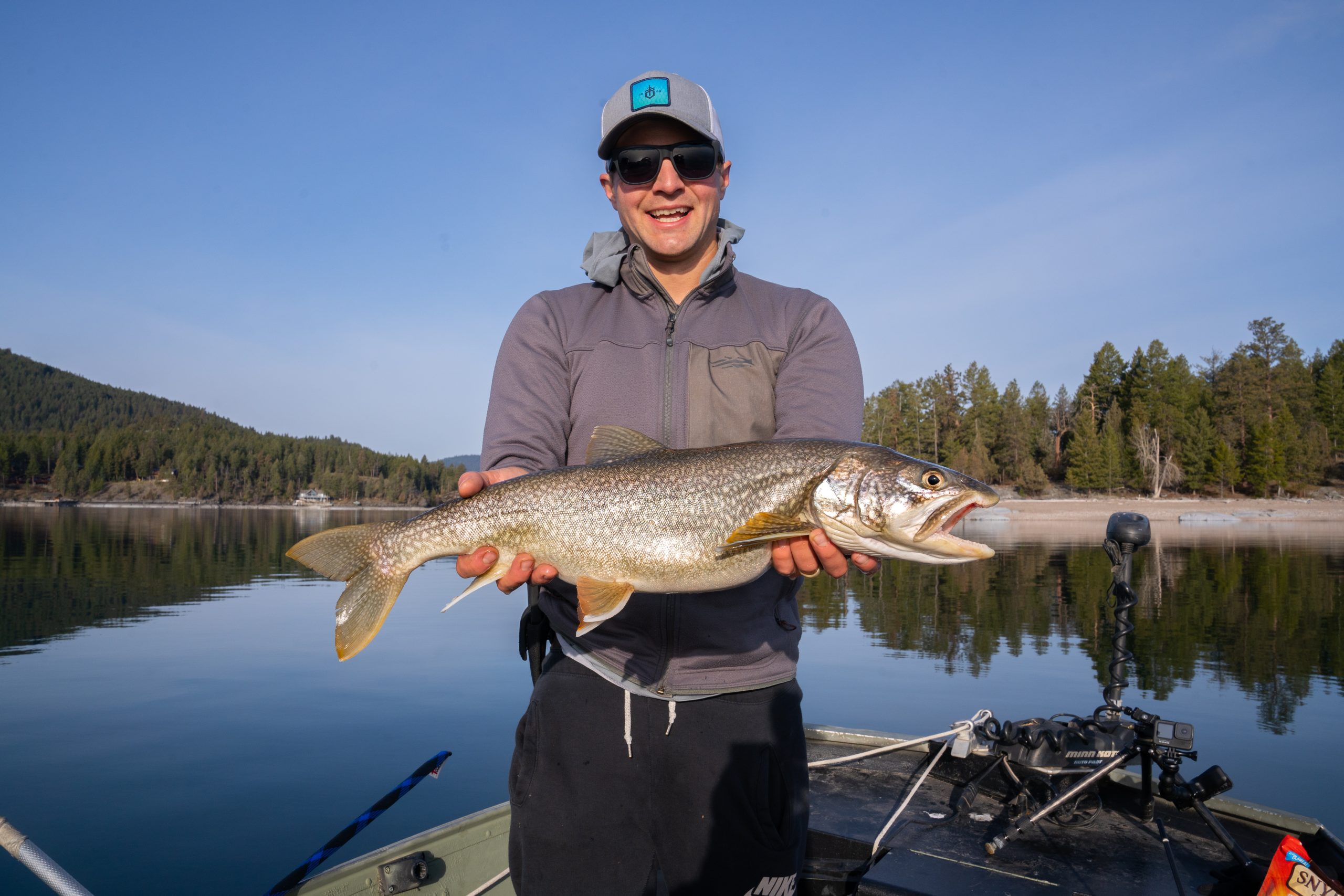 montana lake trout