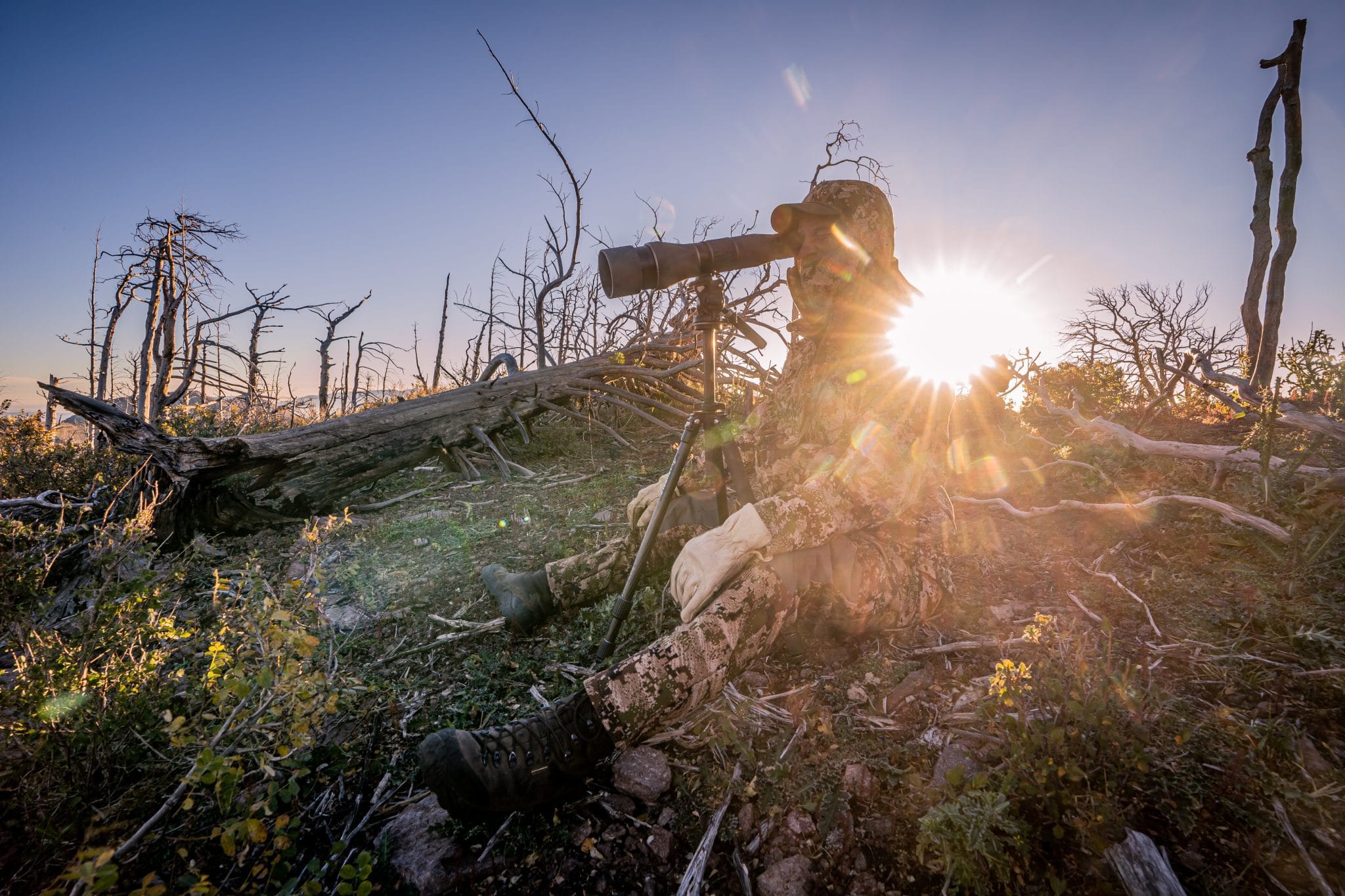 HUNTING IN NEW MEXICO 2025 APPLICATION GUIDE intelligence overview