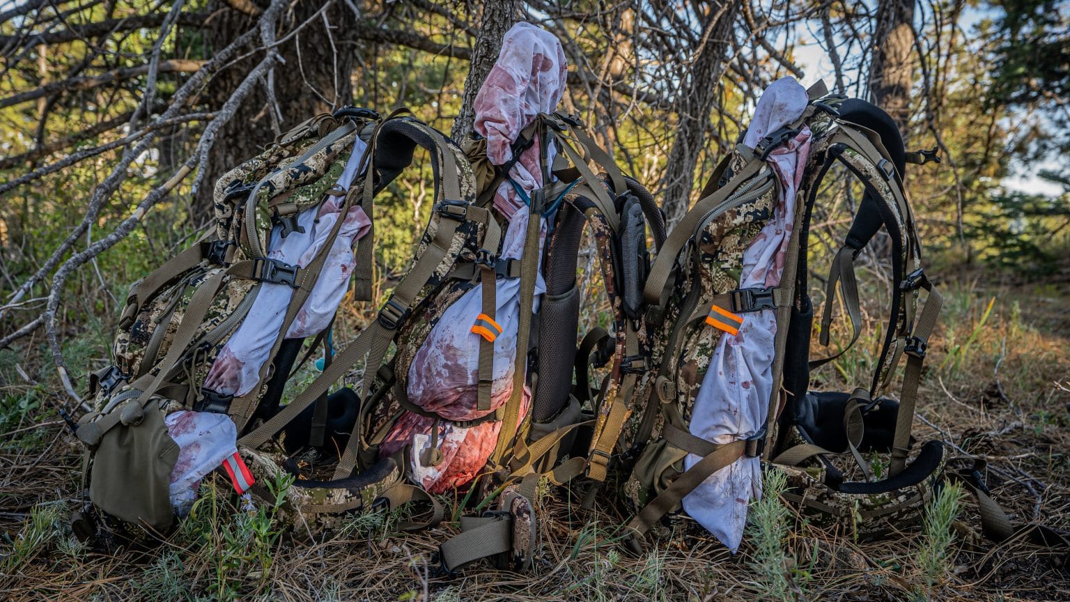 HUNTING IN NEW MEXICO 2025 APPLICATION GUIDE visual data 2